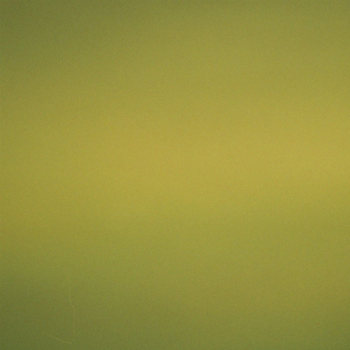 Vilde- High Horse [with lyrics]