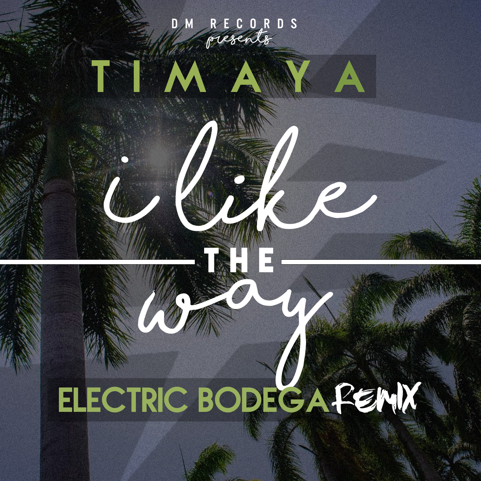Listen: Timaya – “I like the Way (Electric Bodega remix)”