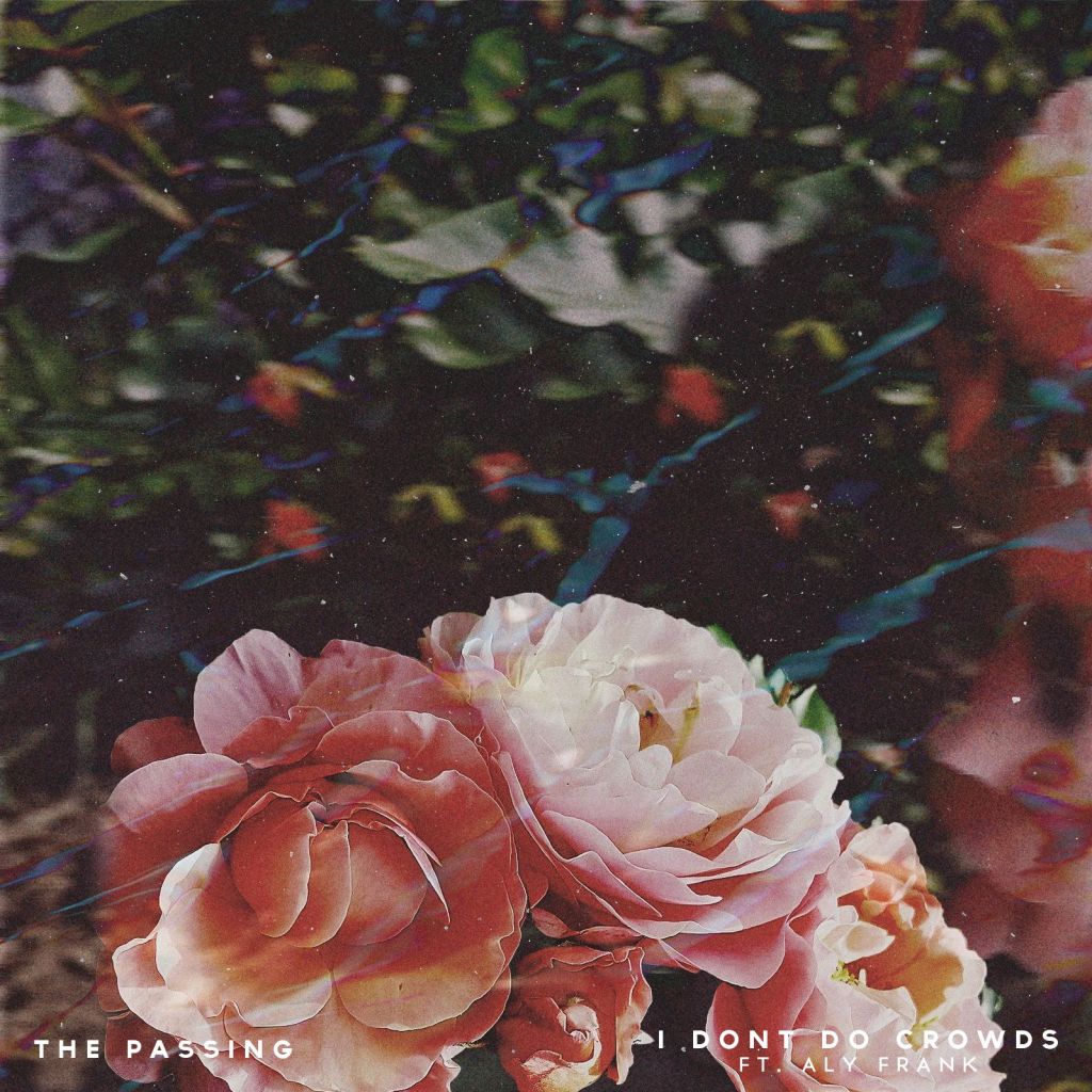 “The Passing” by I Dont Do Crowds feat. Aly&nbsp;Frank