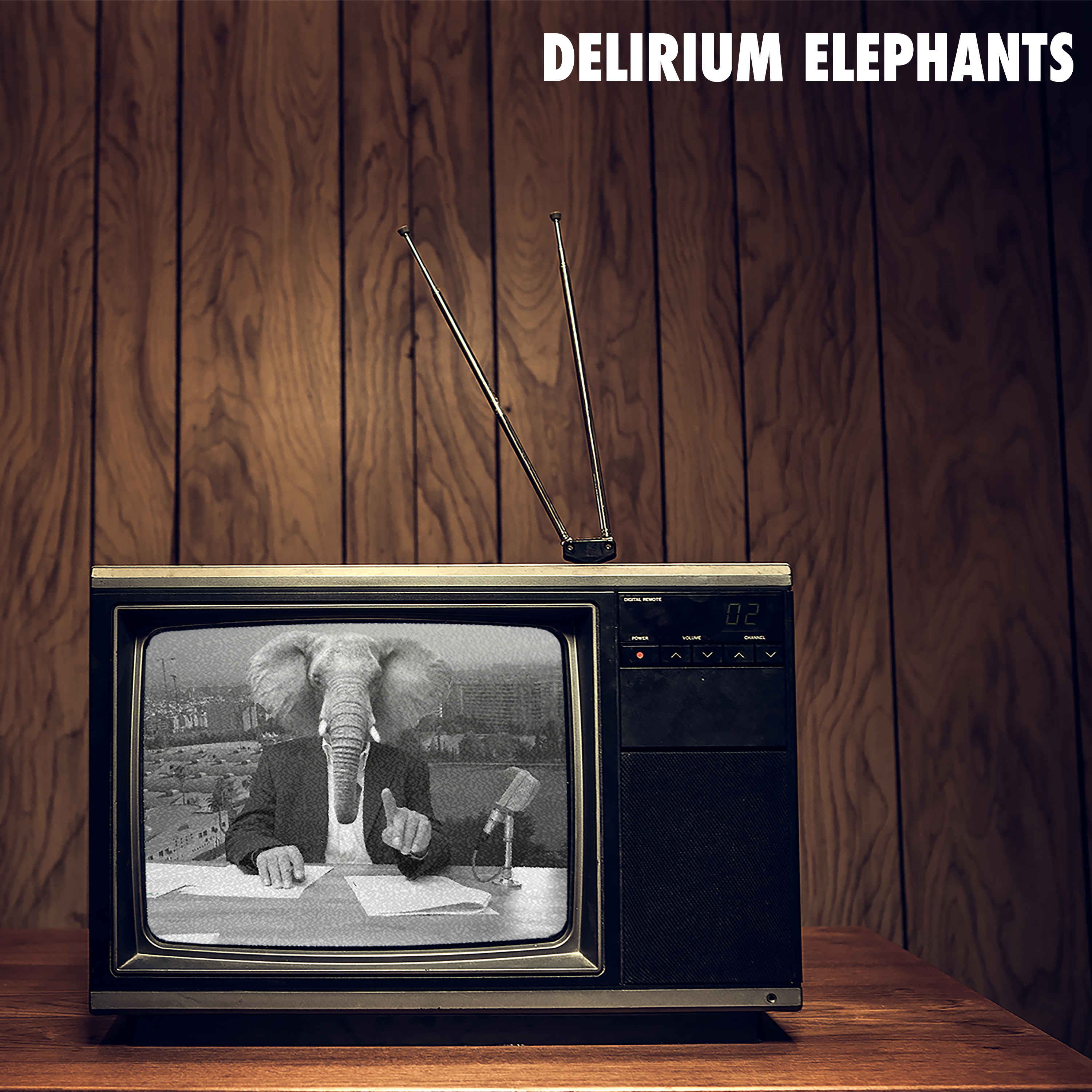 Listen to Delirium Elephants’ “Washing Machine” off their self-titled album