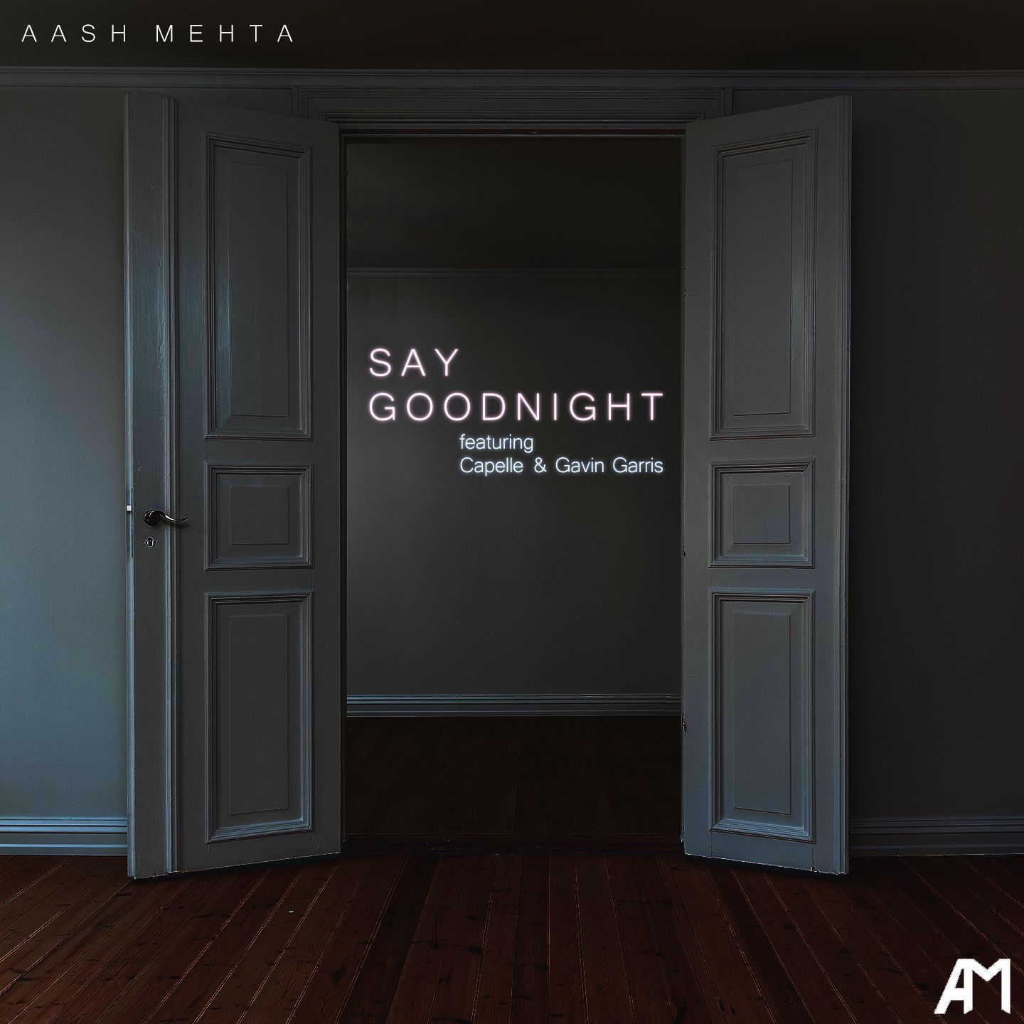 Aash Mehta -“Say Goodnight” featuring Capelle and Gavin Garris