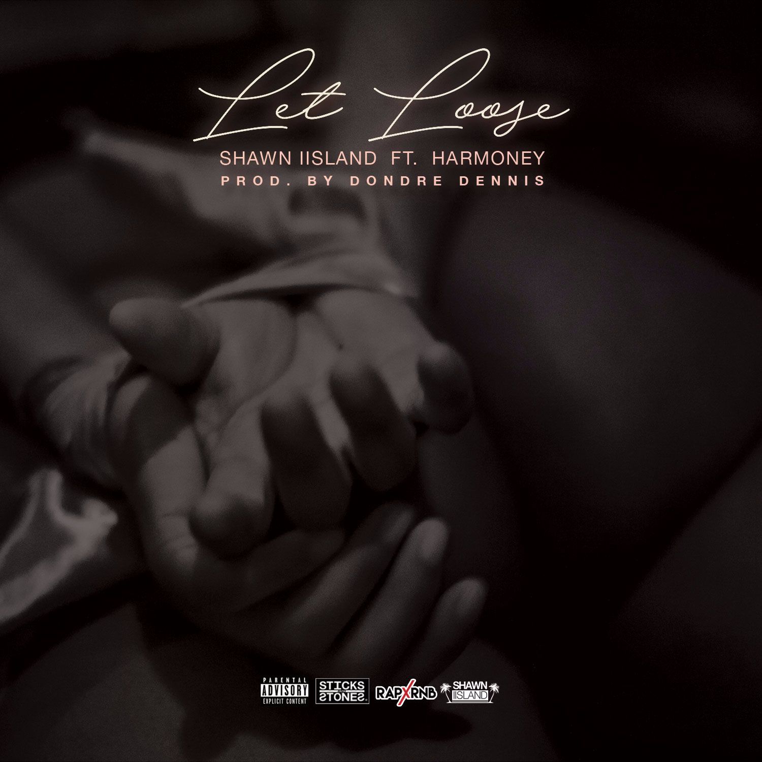 Shawn IISland X Harmoney -“Let Loose”