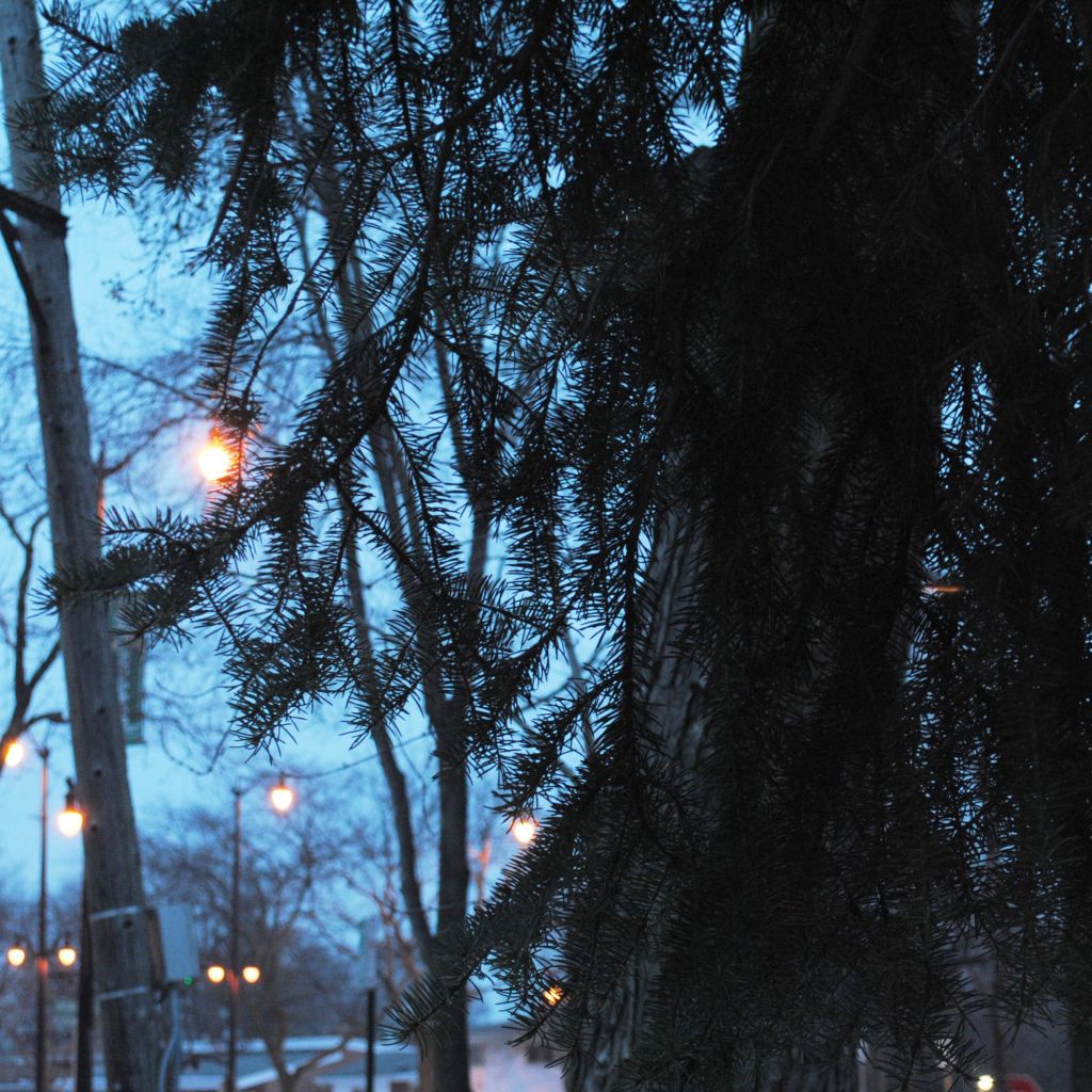 Lemonadepi returns with a new song titled “Set me&nbsp;free”.