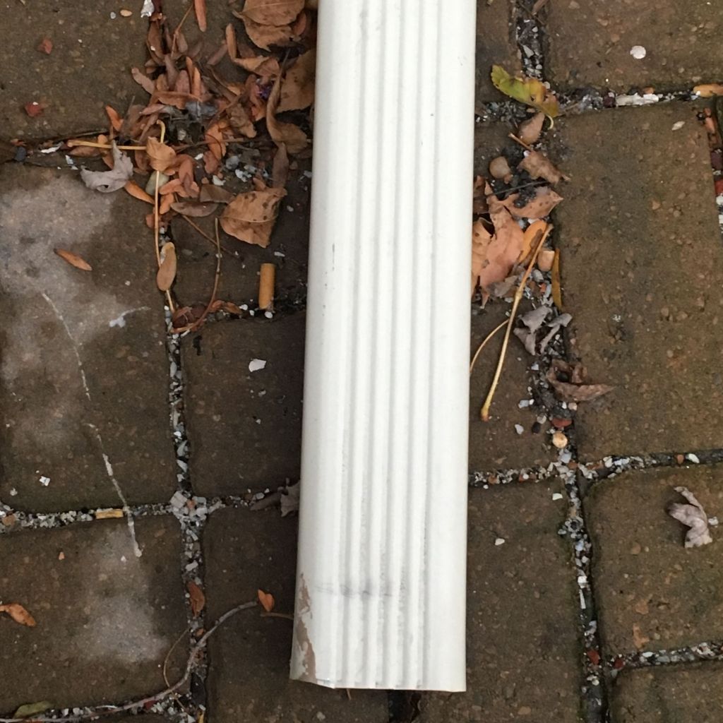 Lemonadepi – “Please Don’t Leave Me, I’ll Be&nbsp;Here”