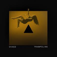SHAED trio drops “Trampoline”