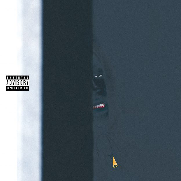 Watch the video for “V.I.M.” by Radamiz
