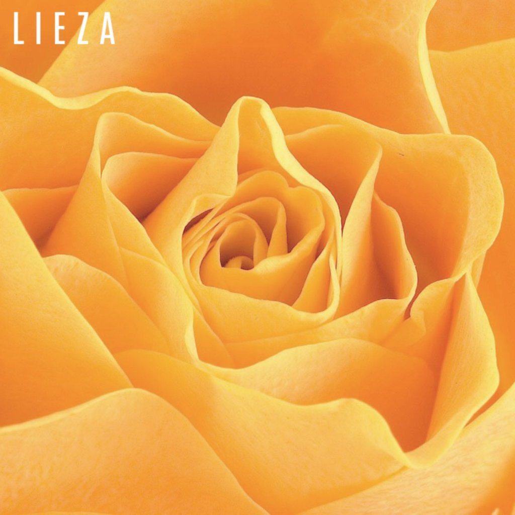 Listen to LIEZA’s “Yellow Roses (acoustic)”