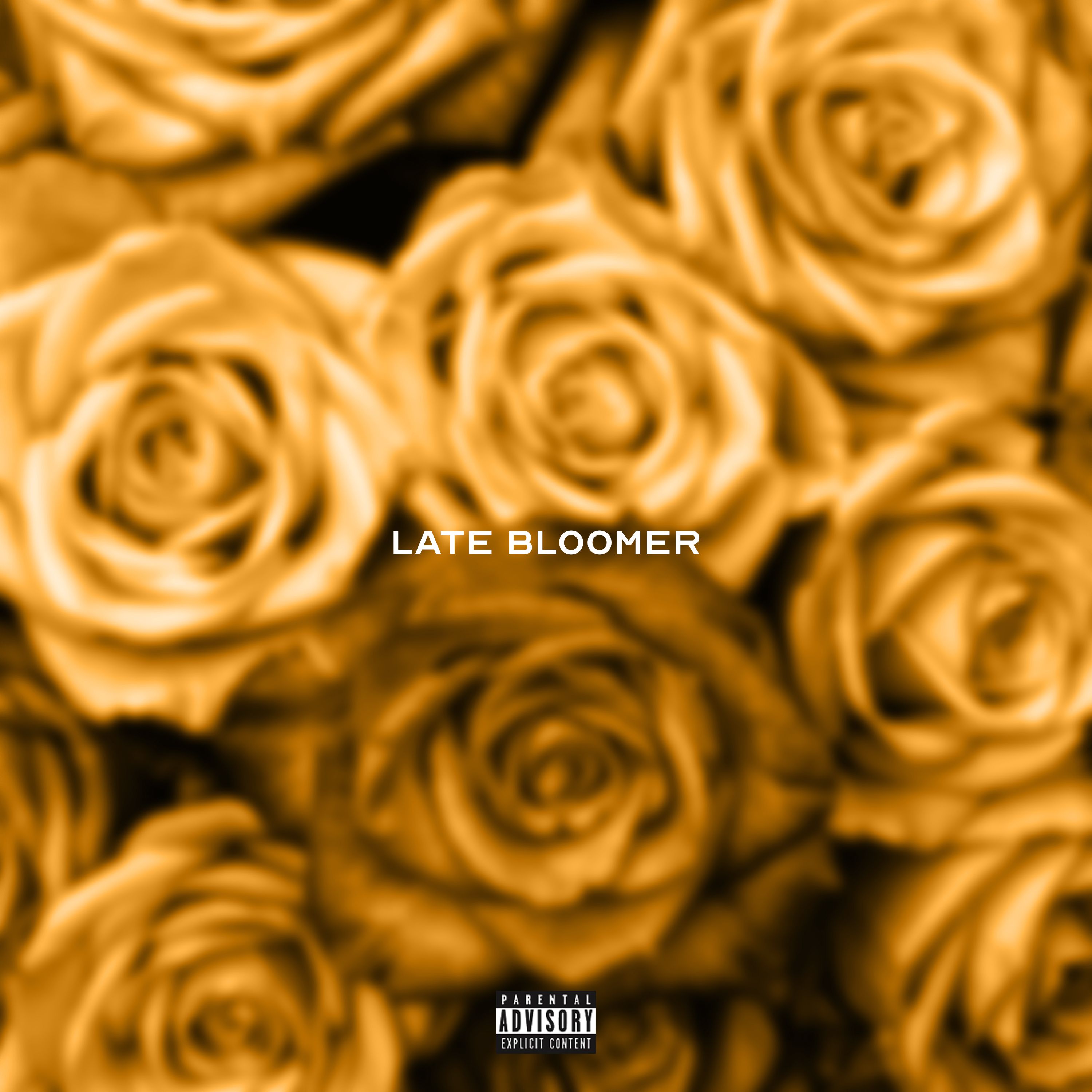 Stream Late Bloomer album by Reedus 3M