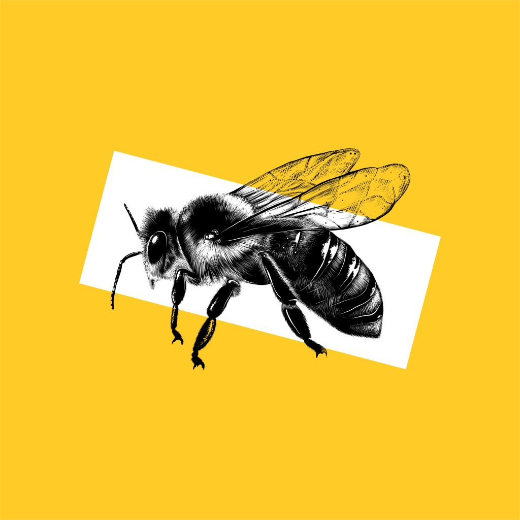 Oliver Céleste returns with new single and video. Watch “Honey”