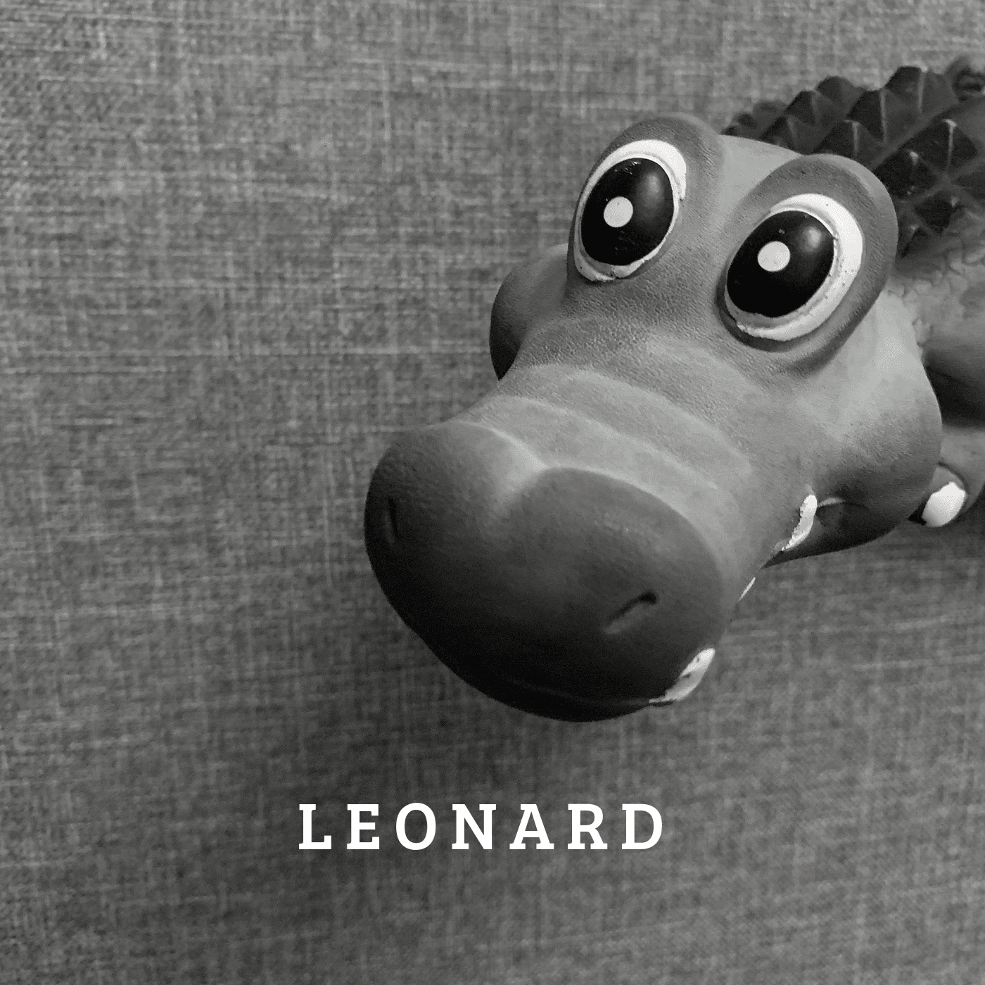 LEONARD starts with “Something Good”