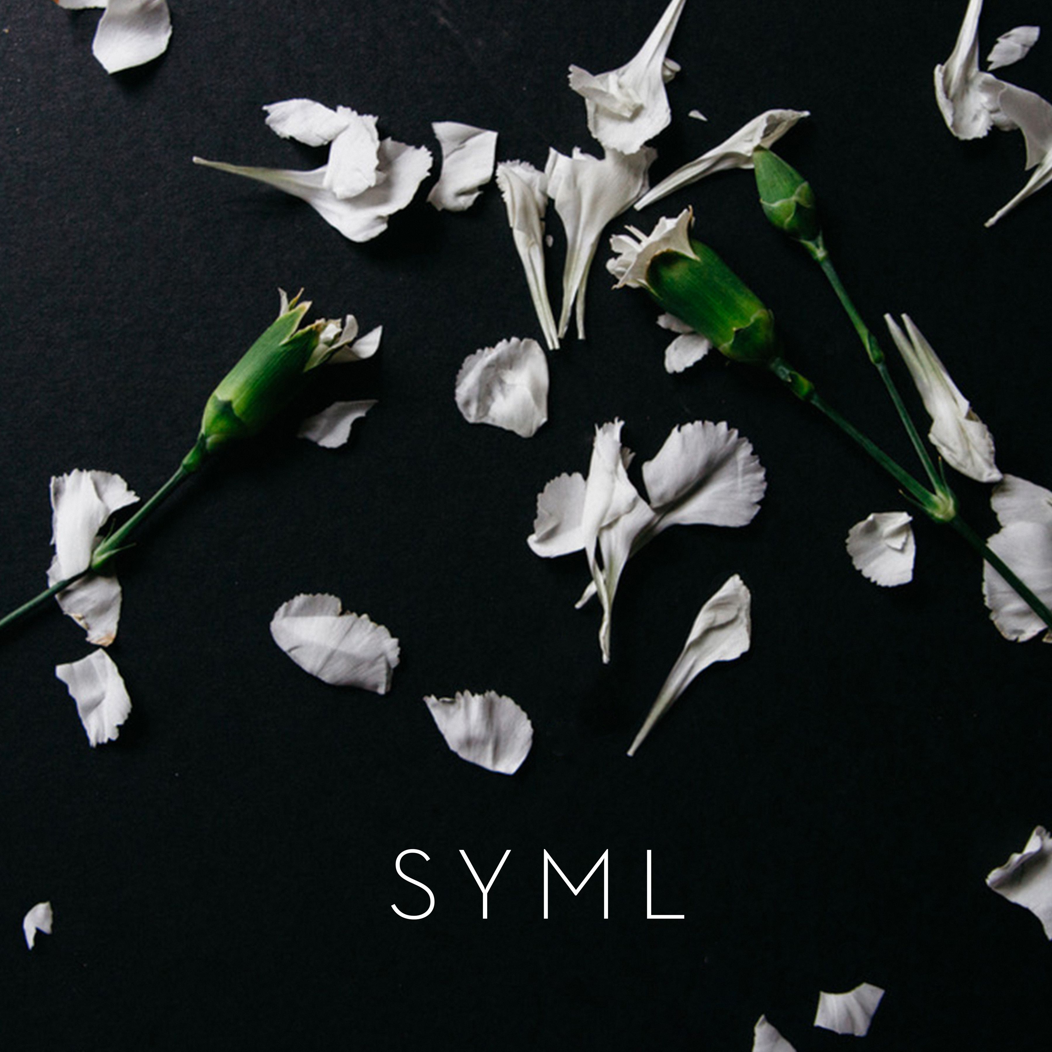 Listen to SYML’s “Meant To Stay Hid”