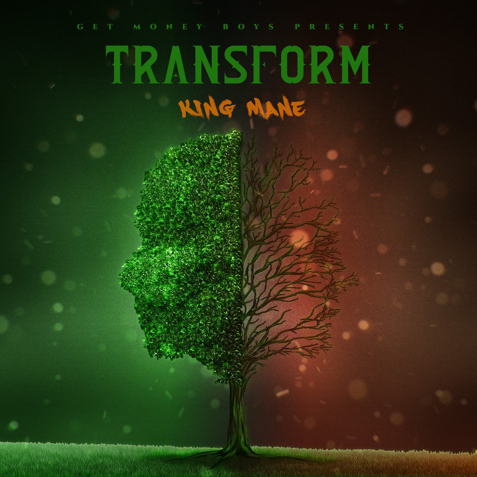 Stream King Mane’s “Transform”