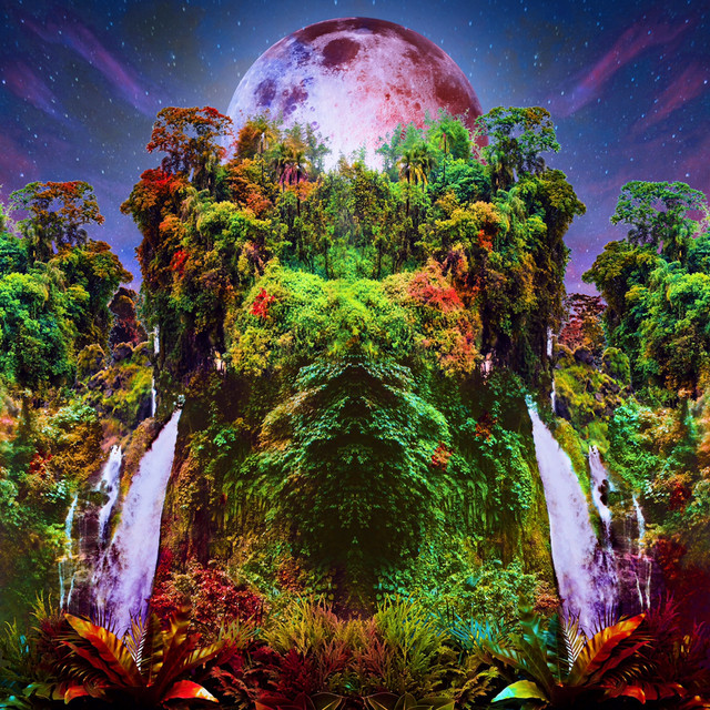 Here is Jungleboy’s debut single “Ladron”