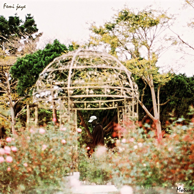 Watch Femi Jaye’s new video, “Motive”