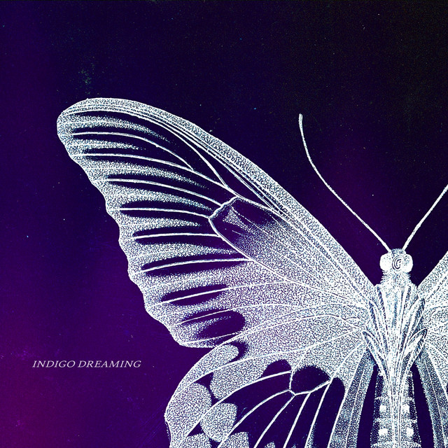 Hear Tarn PK’s latest song is the much soothing “Indigo Dreaming”
