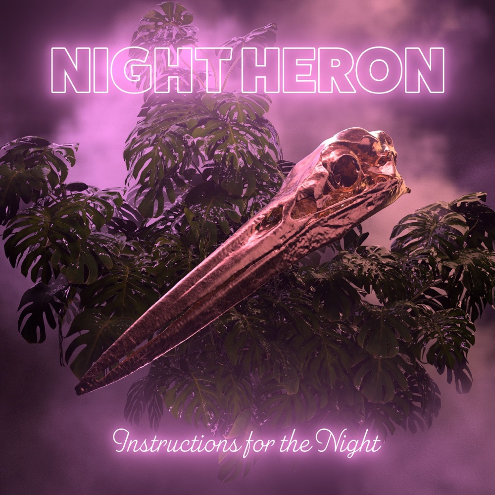 Stream Instructions For The Night album by Night Heron