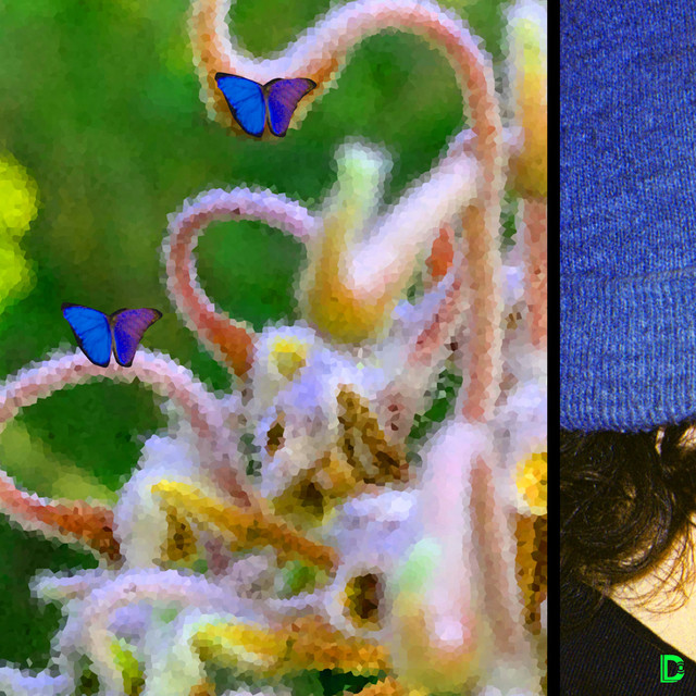 D.E.L have released new track called “Yoko”