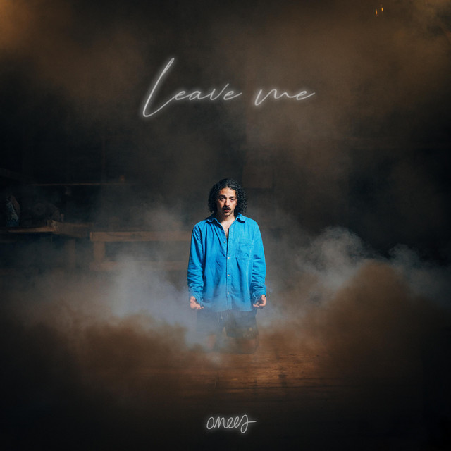 anees delivers remorseful ballad, “leave me”