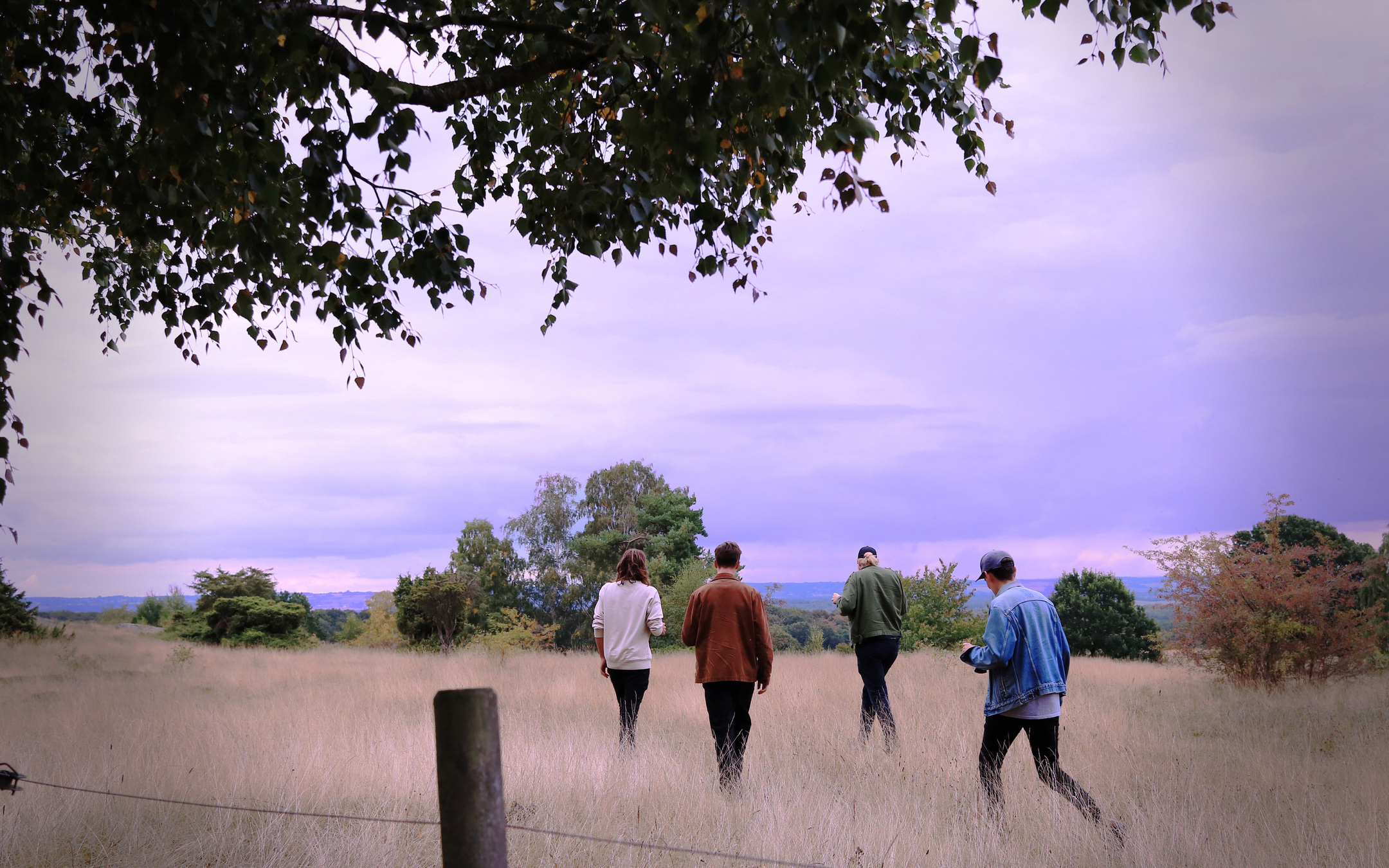 Koala Bar unveil their third album, Ingest ≈ Digest