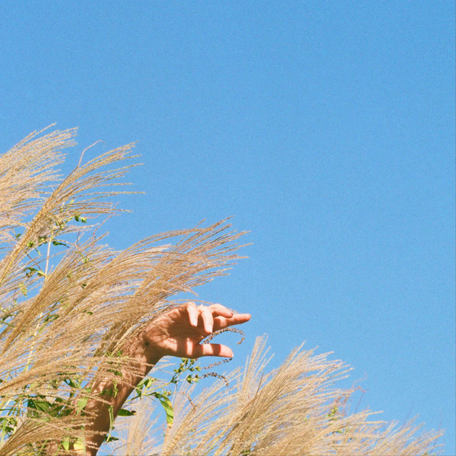 Mandi Mapes shares new single, “Daffodil&nbsp;Floors”