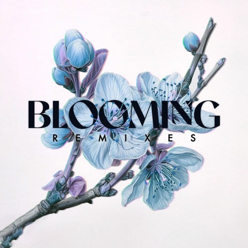 Bronze Whale are back with Blooming Remixes EP