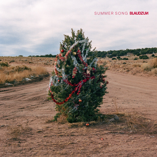 Blaudzun crafts a brand new anthem  named “Summer Song”