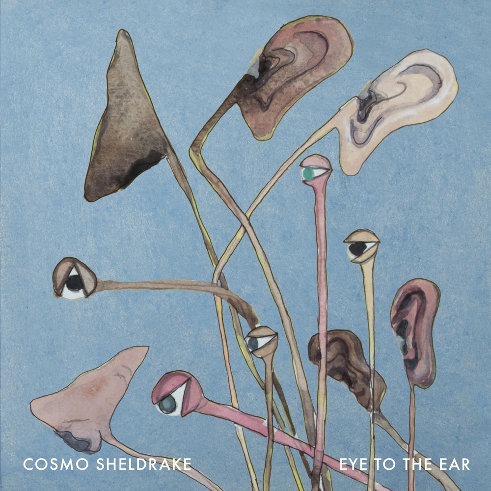 Stream ‘Eye To The Ear’ album by Cosmo&nbsp;Sheldrake