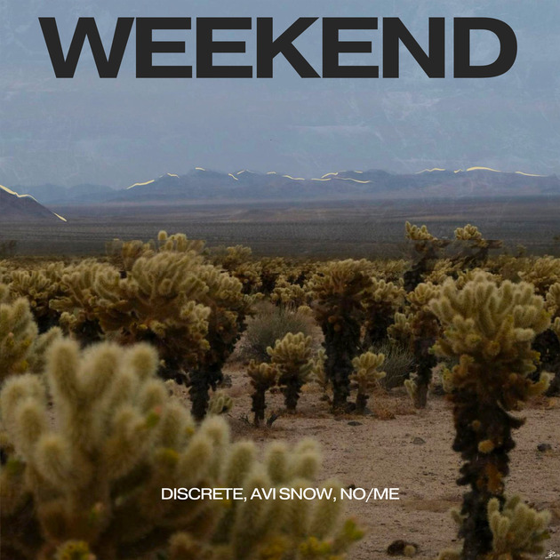 Listen to “Weekend” by Discrete, Avi Snow and No/Me