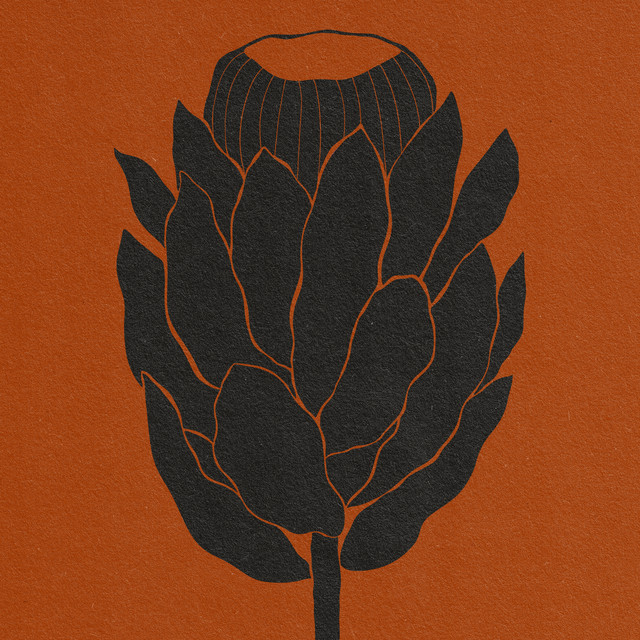 Listen to TENDER’s mesmerising new song, “cutting&nbsp;grass”