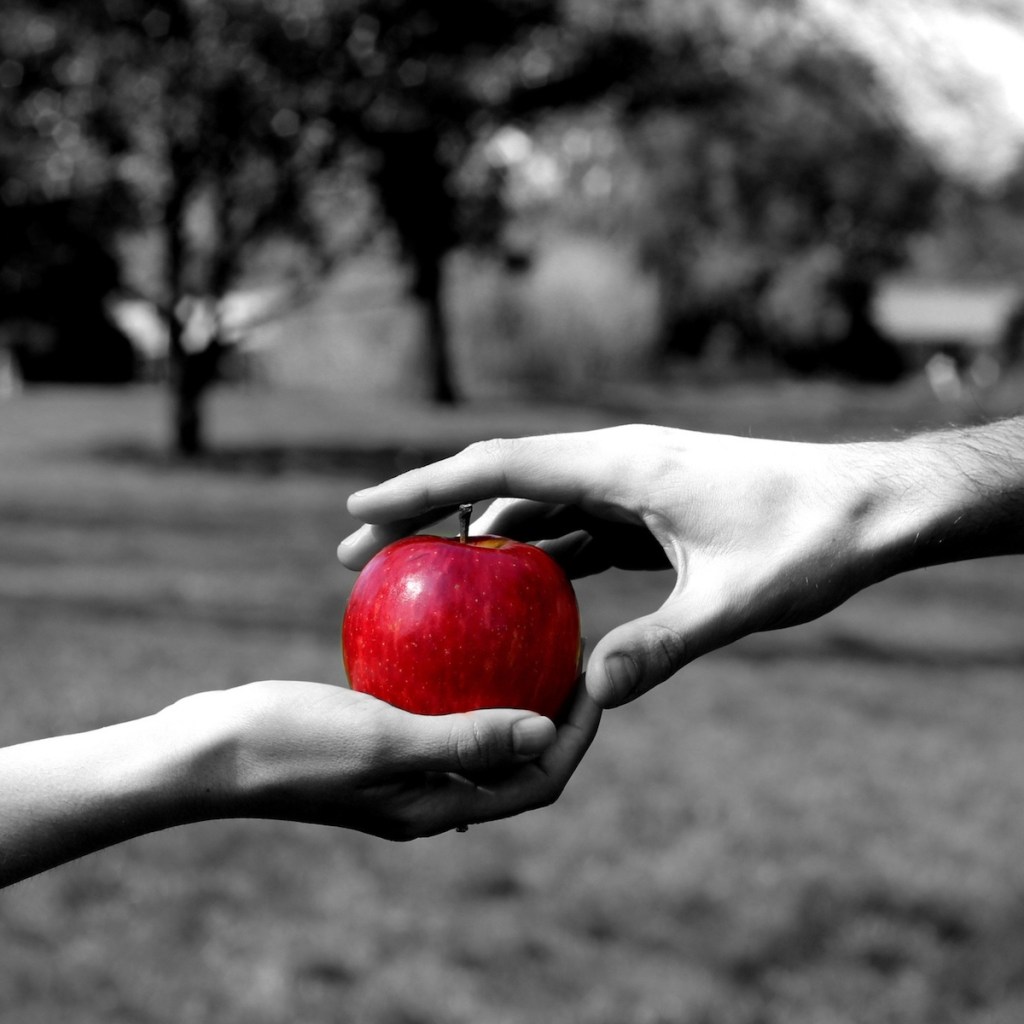 Dakota 66 fascinated by a beguiling character in their latest music video, “Gimme&nbsp;Love”