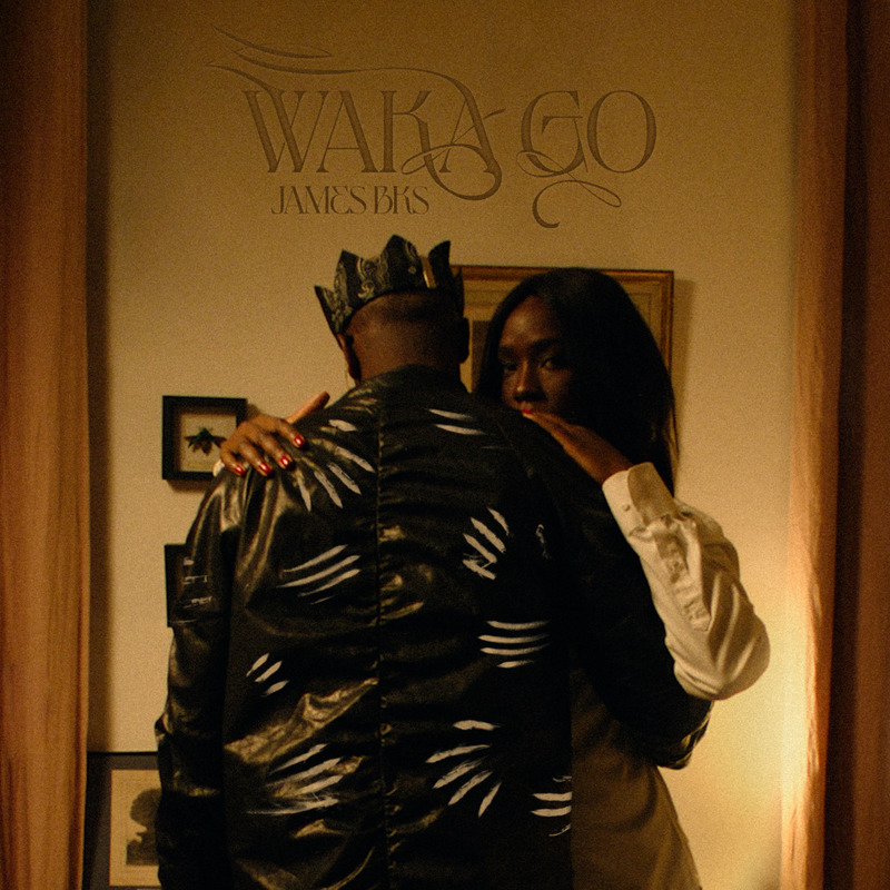 James BKS unveils a vibrant music video for his latest song, “Waka Go”