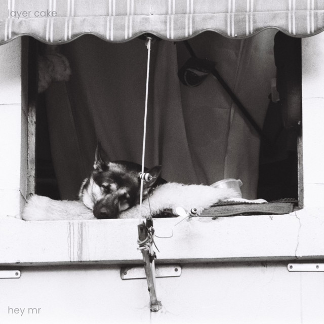 Layer Cake Are Back With New Single “Hey Mr.”