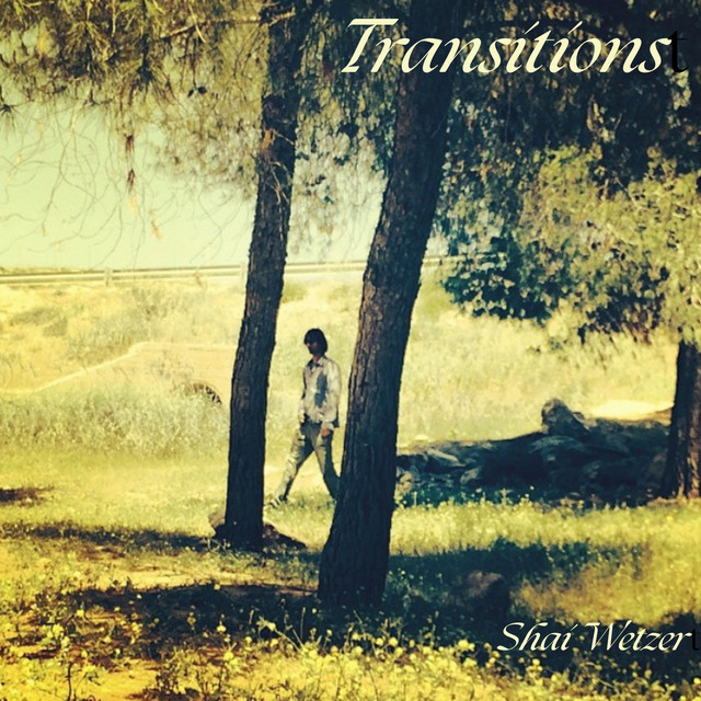 Shai Wetzer releases “Transitions” feat. Bligh&nbsp;Voth