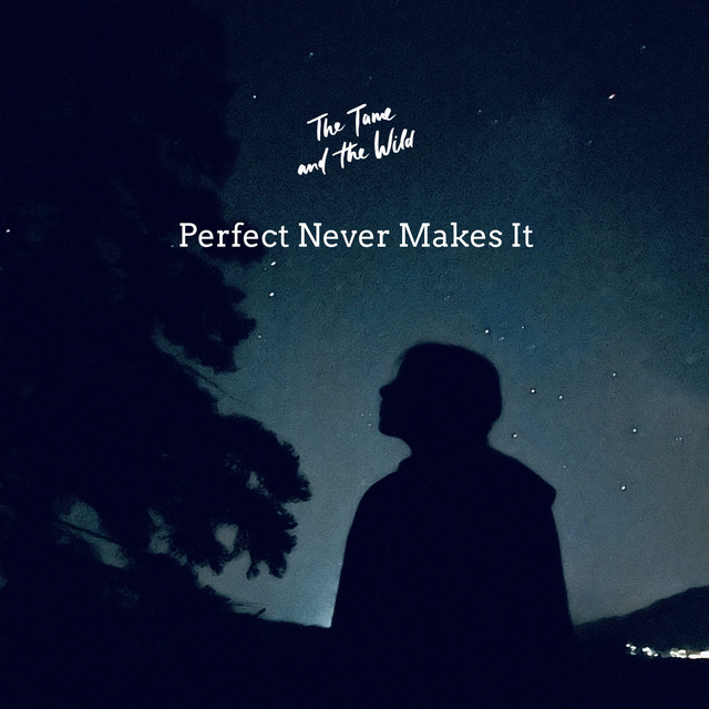 The Tame and the Wild have a New Song,  “Perfect Never Makes It”: Listen